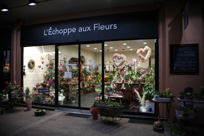 La folie des fleurs arrive ! photo 2